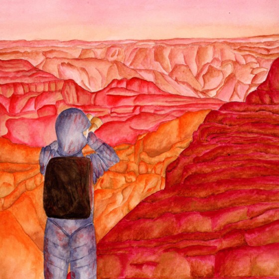 The heroine stands at the edge of a canyon and looks out over the landscape.